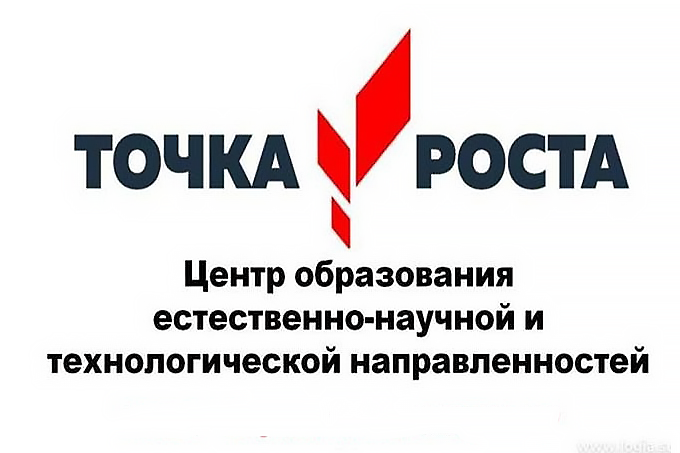 Логтип точка роста.